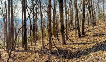 Lot 5 Deer Run Road, Black Mountain, NC 28711