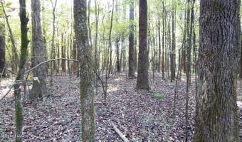 20 Ac. 9 Hwy, Bruce, MS 38915