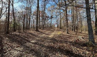 OFF OF SULPHUR CREEK RD, Big Sandy, TN 38221