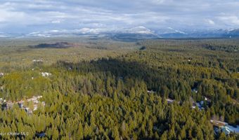 L23 Blk 2 Forest View Recreational Trac, Athol, ID 83801