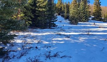 3553 RIVER Dr, Alma, CO 80420