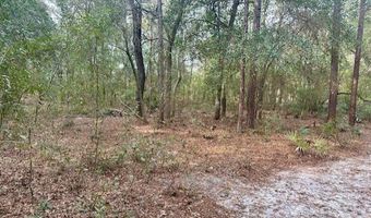 NW 11th Ave, Bell, FL 32619
