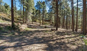 138 Green Ridge Dr, Bayfield, CO 81122