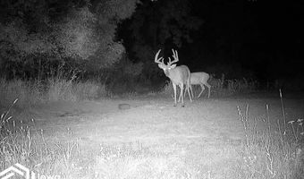 560 Th Ave, Albia, IA 52531