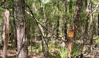 SE 152ND - RAVENSWOOD RD PARCEL B & C LOTS 16 17 Place, Altoona, FL 32702