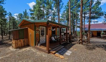 23251 Elk Trl, Aguilar, CO 81020