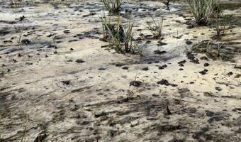 81 1+/- AC Old River Rd, Baker, FL 32531