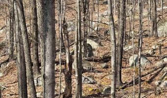 493 Wheeler Mountain Rd, Barton, VT 05822