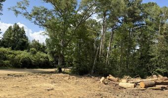 SE Cole Drive, Bogue Chitto, MS 39629