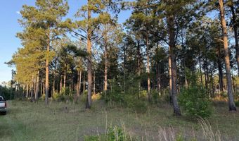 506 Nature Trl, Blackville, SC 29817