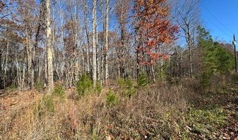 Chestnut Grove Road, Appomattox, VA 24522