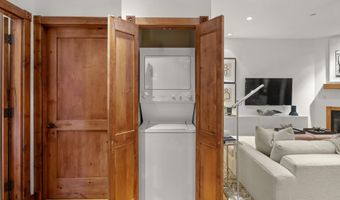 507 W Main St C101, Aspen, CO 81611