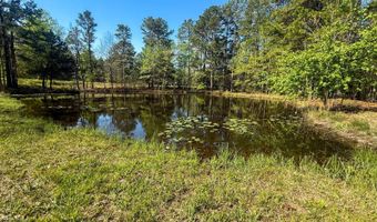 412823 E. 1910 Rd, Antlers, OK 74523