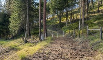 NNA Sangster Rd, Anatone, WA 99401