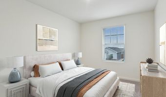 10644 Harlequinn Plan: Ross, Adkins, TX 78101