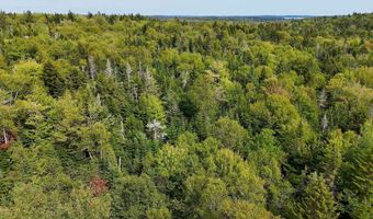 M20L2 E Side Road, Addison, ME 04606