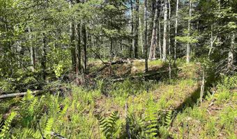 Map 202-Lot 39 Parker Road, Bethlehem, NH 03574