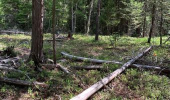 Nna Log Cabin Rd, Bonners Ferry, ID 83805