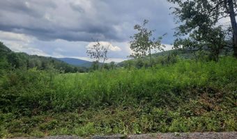 Lower Dingle Hill Road, Andes, NY 13731