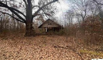 18 Central St, Arlington, KY 42021