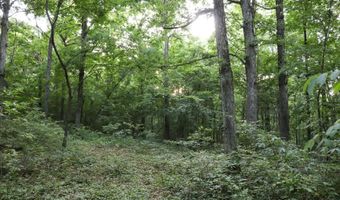Whiskey Creek Lane, Batesville, AR 72501