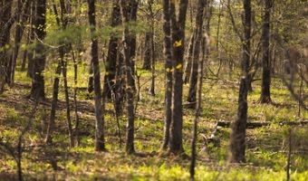 Indian HWY, Albion, OK 74521