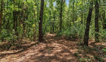 4814 NW 244 Ave, Alachua, FL 32615