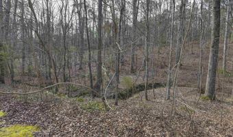 228 Winding Oak Way, Blythewood, SC 29016