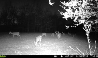 115 County Road 1039, Bardwell, KY 42023