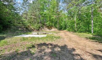 1007 COUNTY ROAD 4005, Arley, AL 35541