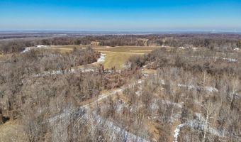 Sandy Branch Road, Bardwell, KY 42023