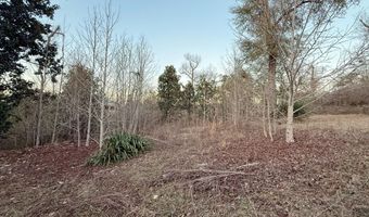 16570 NW Chipola Heights Rd, Altha, FL 32421