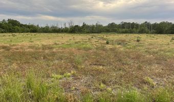 Sr 1918 Road, Aurora, NC 27806