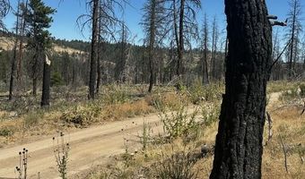Wren Drive lot 6, Bonanza, OR 97623