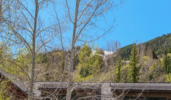 121 W Hyman Ave B, Aspen, CO 81611