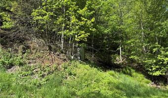 6 Wakeman Way, Banner Elk, NC 28604