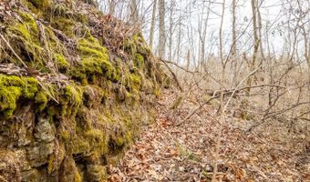 County Road 19-A, Alton, MO 65606