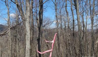 Gentry Farm Road, Aurora, NC 28743