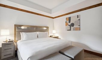 415 E Dean St Unit 38 Week 33, Aspen, CO 81611