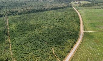 Copeland Ridge Road, Arkadelphia, AR 71923