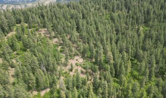 NKA INITIAL PEAK Rd, Cataldo, ID 83810