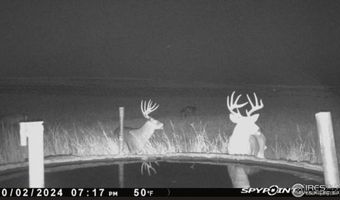0 County Road 170, Agate, CO 80101