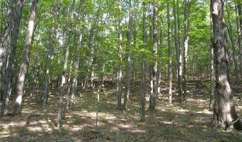 1454 Crane Ln, Woodhull, NY 14801