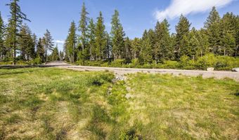 14 Trails End Ct, Bigfork, MT 59911