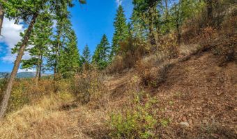 NKA Silver Creek Road, Clark Fork, ID 83811