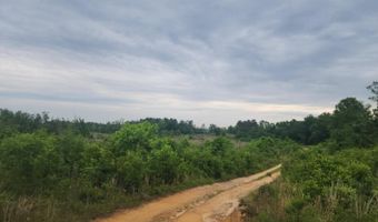 551 Gravel Hill Rd, Allendale, SC 29810