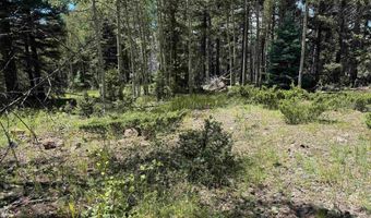 Lot 1012 El Camino Real, Angel Fire, NM 87710