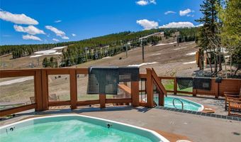 107 SKI WATCH Rd 432, Breckenridge, CO 80424