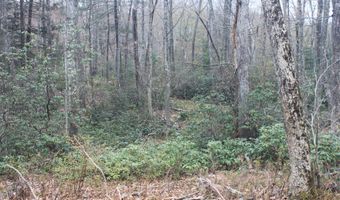 Nepaug Road, Burlington, CT 06013