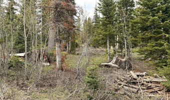 646 W Ski View Dr, Brian Head, UT 84719